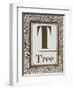 Letter T: Tree. Gold Letter With Decorative Border-null-Framed Giclee Print