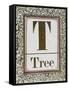 Letter T: Tree. Gold Letter With Decorative Border-null-Framed Stretched Canvas