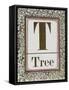 Letter T: Tree. Gold Letter With Decorative Border-null-Framed Stretched Canvas