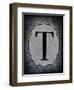 Letter T-LightBoxJournal-Framed Giclee Print