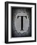 Letter T-LightBoxJournal-Framed Giclee Print