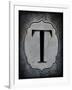 Letter T-LightBoxJournal-Framed Giclee Print