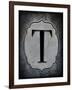 Letter T-LightBoxJournal-Framed Giclee Print