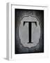 Letter T-LightBoxJournal-Framed Giclee Print