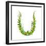 Letter U Floral Latin Decorative Character Alphabet Lettering Sign. Colorful Hand Drawn Blooming Fl-Popmarleo-Framed Art Print