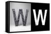 Letter W-badboo-Framed Stretched Canvas