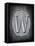 Letter W-LightBoxJournal-Framed Stretched Canvas