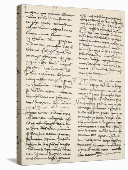 Letter Written-Amerigo Vespucci-Stretched Canvas