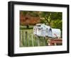 Letterboxes, King Country, North Island, New Zealand-David Wall-Framed Photographic Print