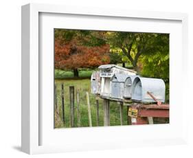 Letterboxes, King Country, North Island, New Zealand-David Wall-Framed Photographic Print