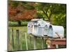 Letterboxes, King Country, North Island, New Zealand-David Wall-Mounted Photographic Print