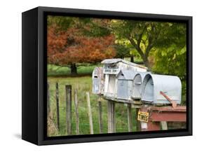 Letterboxes, King Country, North Island, New Zealand-David Wall-Framed Stretched Canvas