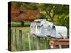 Letterboxes, King Country, North Island, New Zealand-David Wall-Stretched Canvas
