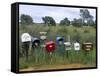 Letterboxes, Western Australia, Australia-Doug Pearson-Framed Stretched Canvas