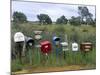 Letterboxes, Western Australia, Australia-Doug Pearson-Mounted Photographic Print