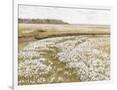 Gramercy White