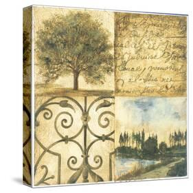Letters from Home I-Elizabeth Jardine-Stretched Canvas
