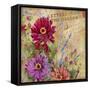 Letters from the Garden I-Joanne Porter-Framed Stretched Canvas