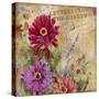 Letters from the Garden I-Joanne Porter-Stretched Canvas