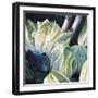 Lettuce and Leeks, 2002-Pedro Diego Alvarado-Framed Giclee Print