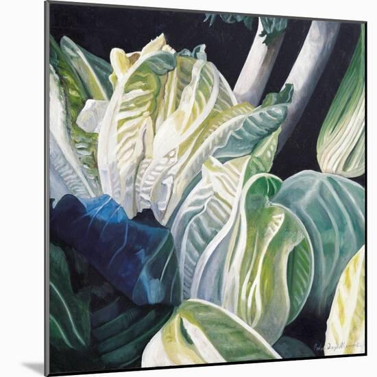 Lettuce and Leeks, 2002-Pedro Diego Alvarado-Mounted Giclee Print