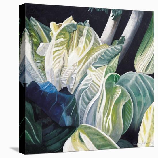 Lettuce and Leeks, 2002-Pedro Diego Alvarado-Stretched Canvas