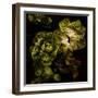 Lettuce Bed  2020  (photograph)-Ant Smith-Framed Photographic Print