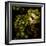 Lettuce Bed  2020  (photograph)-Ant Smith-Framed Photographic Print