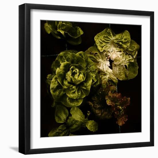 Lettuce Bed  2020  (photograph)-Ant Smith-Framed Photographic Print