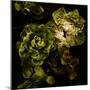 Lettuce Bed  2020  (photograph)-Ant Smith-Mounted Photographic Print
