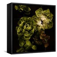 Lettuce Bed  2020  (photograph)-Ant Smith-Framed Stretched Canvas