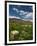 Lettuce Crop in a Field, Tilcara, Quebrada De Humahuaca, Argentina-null-Framed Photographic Print