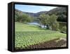 Lettuce Cultivation in Foreground, Near Port d'Acres, Midi-Pyrenees, France-Richard Ashworth-Framed Stretched Canvas