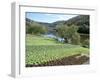 Lettuce Cultivation in Foreground, Near Port d'Acres, Midi-Pyrenees, France-Richard Ashworth-Framed Photographic Print