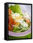 Lettuce, Egg, Tomato and Yoghurt Dressing-null-Framed Stretched Canvas