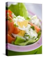 Lettuce, Egg, Tomato and Yoghurt Dressing-null-Stretched Canvas