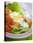 Lettuce, Egg, Tomato and Yoghurt Dressing-null-Stretched Canvas