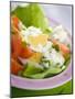 Lettuce, Egg, Tomato and Yoghurt Dressing-null-Mounted Photographic Print