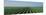 Lettuce Field San Joaquin Valley Fresno Ca USA-null-Mounted Photographic Print