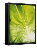Lettuce Leaf Detail-Peter Rees-Framed Stretched Canvas