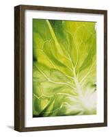 Lettuce Leaf Detail-Peter Rees-Framed Photographic Print