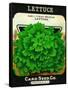 Lettuce Seed Packet-Lantern Press-Framed Stretched Canvas