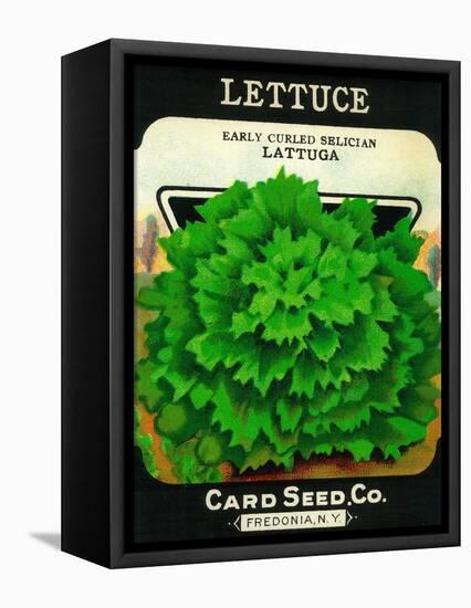 Lettuce Seed Packet-Lantern Press-Framed Stretched Canvas