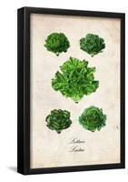 Lettuce-null-Framed Poster