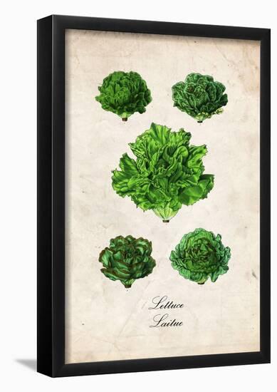 Lettuce-null-Framed Poster