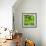 Lettuce-Alexander Feig-Framed Photographic Print displayed on a wall