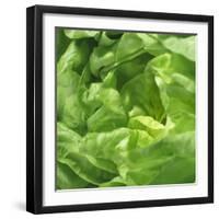 Lettuce-Alexander Feig-Framed Photographic Print