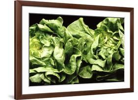 Lettuces-Victor De Schwanberg-Framed Photographic Print