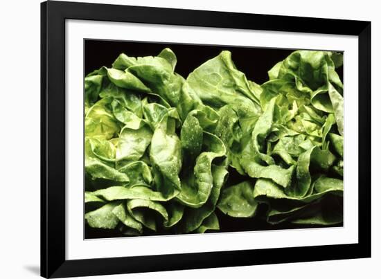 Lettuces-Victor De Schwanberg-Framed Photographic Print