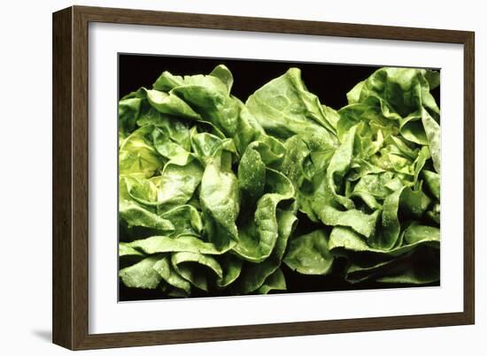 Lettuces-Victor De Schwanberg-Framed Photographic Print